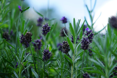 Similar image 21093313