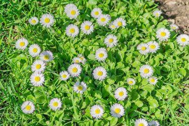 Similar image 21093315