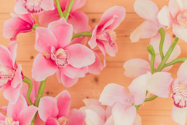 Similar image 21098049