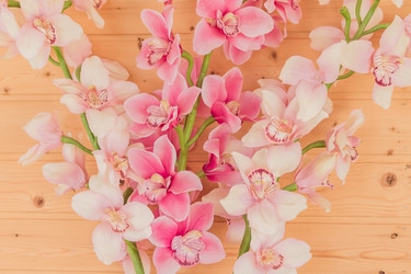 Similar image 21098050