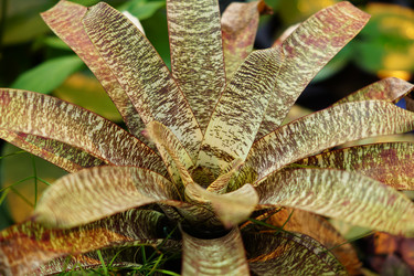 Similar image 21098057