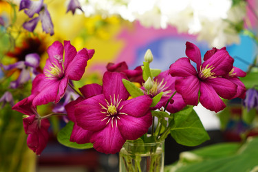 Similar image 21098064