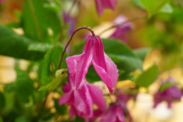 Similar image 21098066