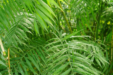 Similar image 21098067