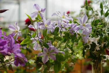 Similar image 21098070