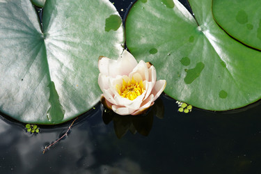 Similar image 21098072