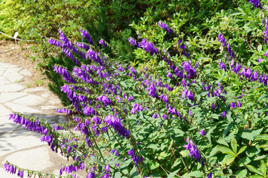 Similar image 21098497