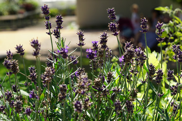 Similar image 21098499