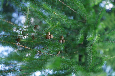 Similar image 21098761