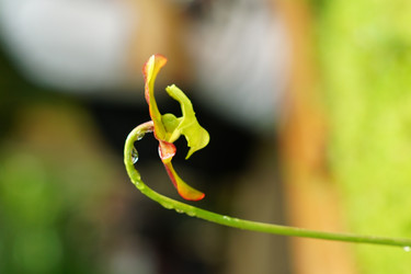 Similar image 21098763