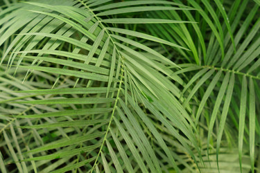 Similar image 21098764