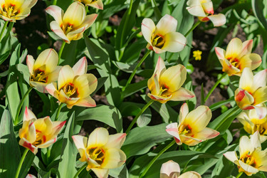 Similar image 21098768