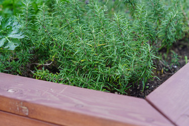 Similar image 21098771