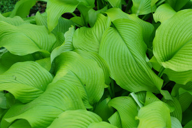 Similar image 21098772