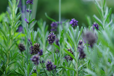 Similar image 21098773