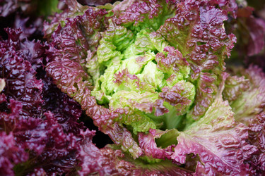 Similar image 21098774