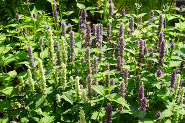 Similar image 21098776