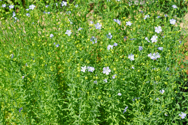 Similar image 21098779