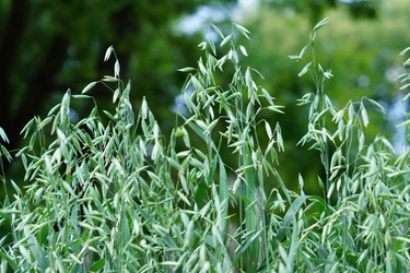 Similar image 21098780