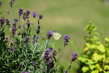 Similar image 21098781