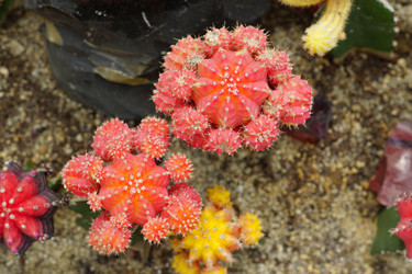 Similar image 21098787