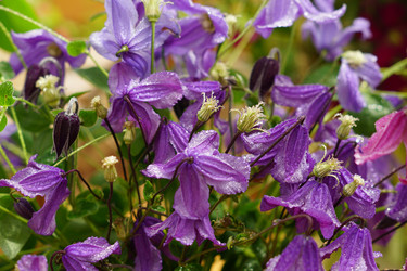 Similar image 21098789