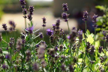 Similar image 21098790