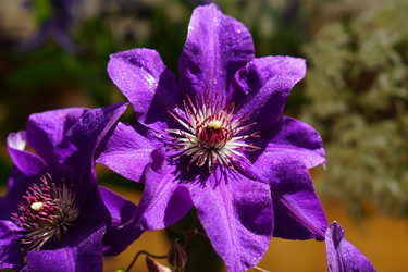 Similar image 21098793