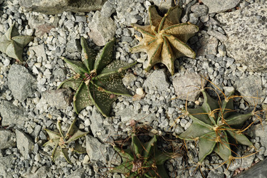 Similar image 21098796