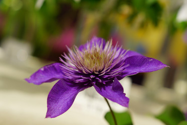 Similar image 21098797