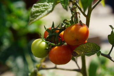 Similar image 21098798