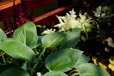 Similar image 21098801