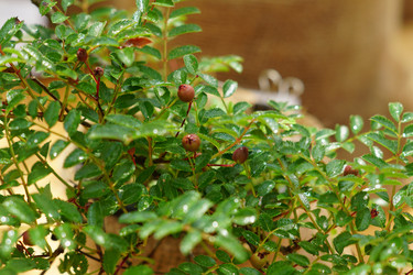 Similar image 21098940