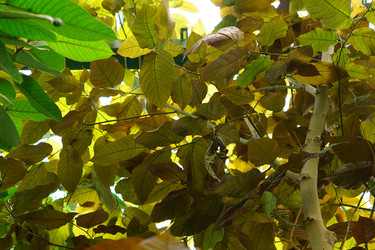 Similar image 21098943