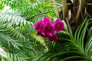 Similar image 21098946