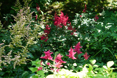 Similar image 21098947