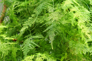 Similar image 21098948