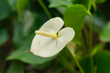 Similar image 21099473