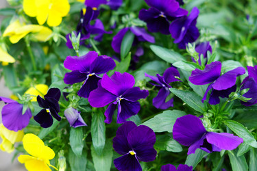 Similar image 21099475