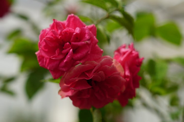 Similar image 21099479