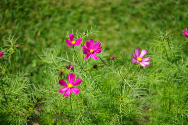 Similar image 21099483