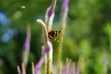 Similar image 21099484