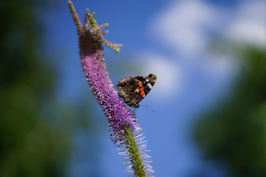 Similar image 21099676