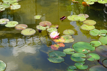 Similar image 21099680