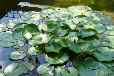 Similar image 21099682