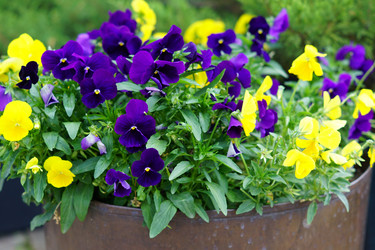 Similar image 21099684