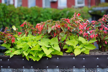 Similar image 21099689