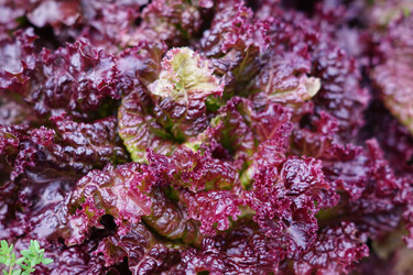 Similar image 21093163