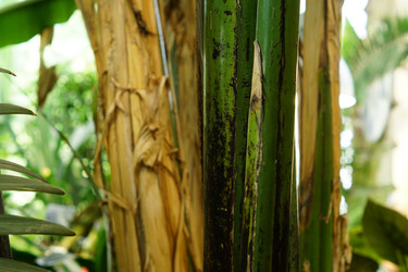 Similar image 21093322