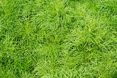 Similar image 21093325